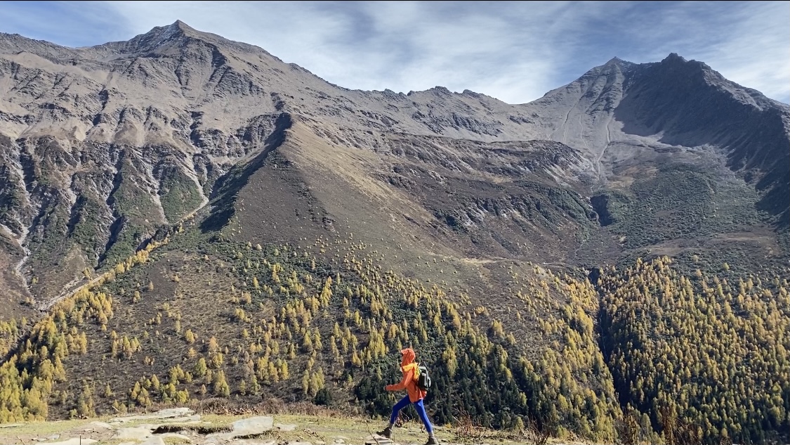 昨日裂变推广专属化打造您的营销矩阵:一站式解决账号流量与内容优化的实用平台,夫妻俩备孕无果到烈士陵园求子